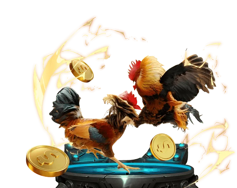 Các loại kèo cược đá gà tại V9BET